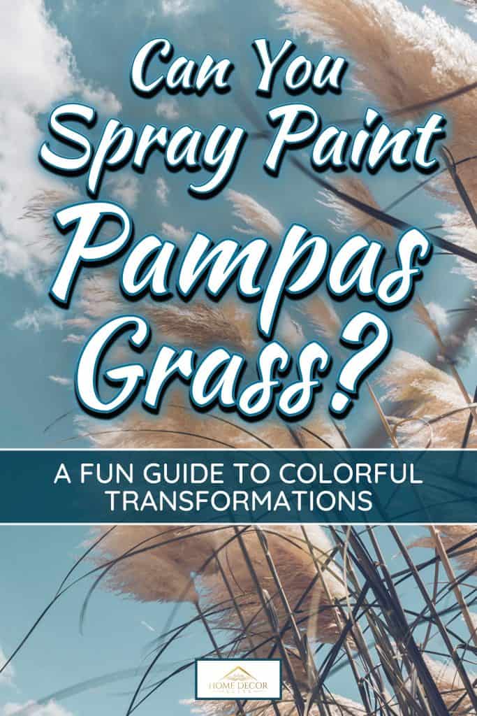 Pampa grass with light blue sky and clouds, Can You Spray Paint Pampas Grass? A Fun Guide to Colorful Transformations