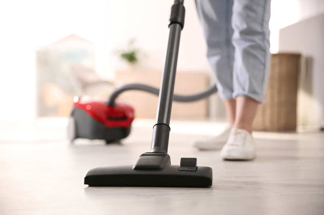 Young woman using vacuum cleaner at home, closeup
