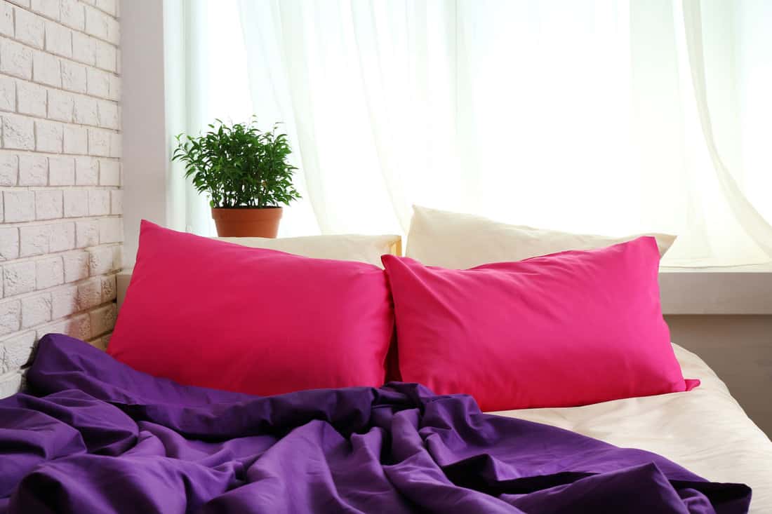 Purple beddings with matching magenta beddings
