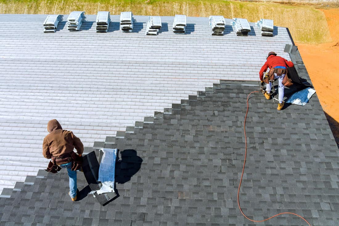 Workers installing shingle roofing