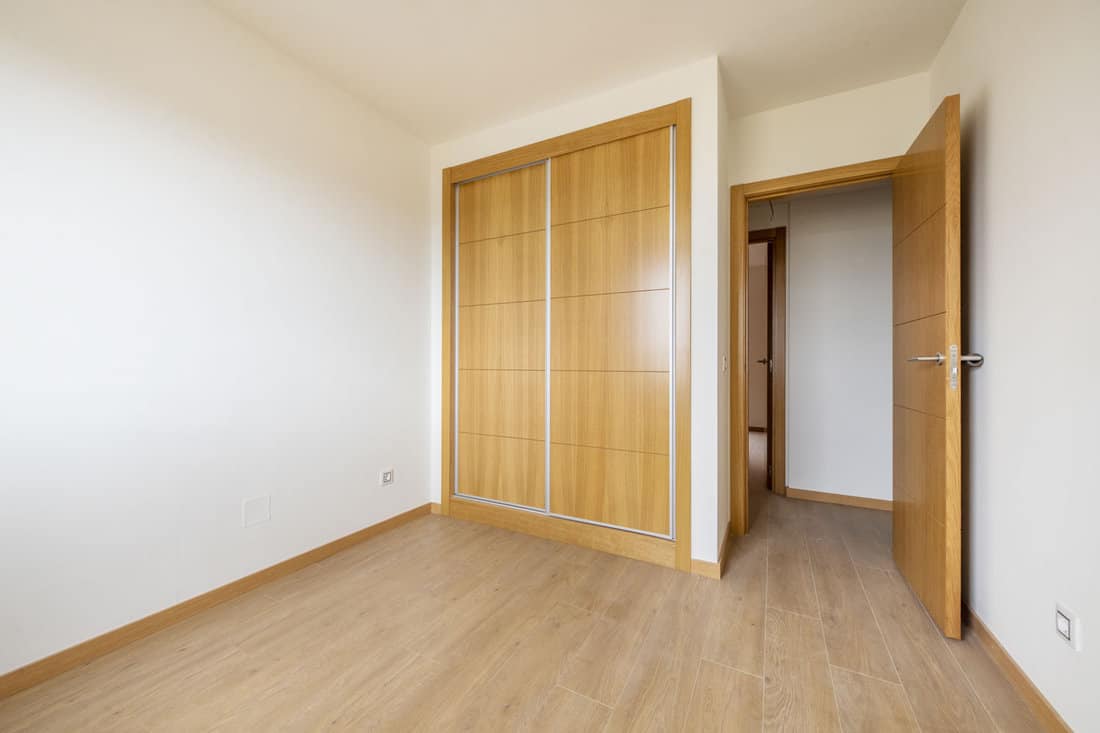 Empty master bedroom with a walk in closet