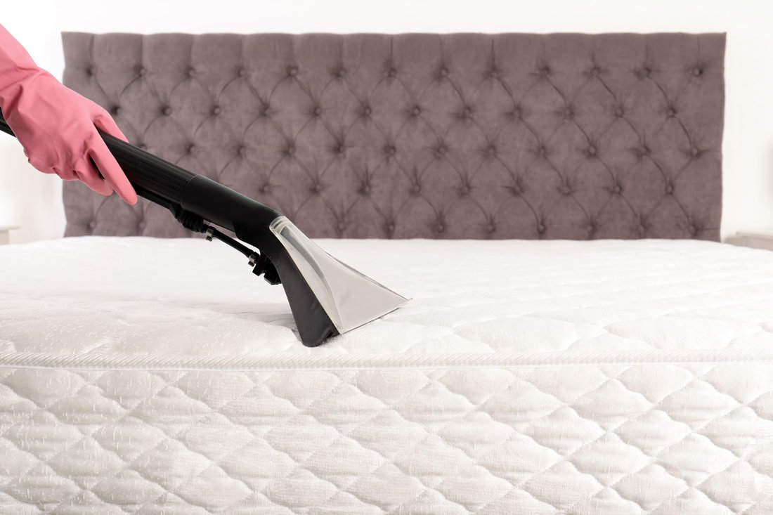 Person disinfecting mattress with vacuum cleaner