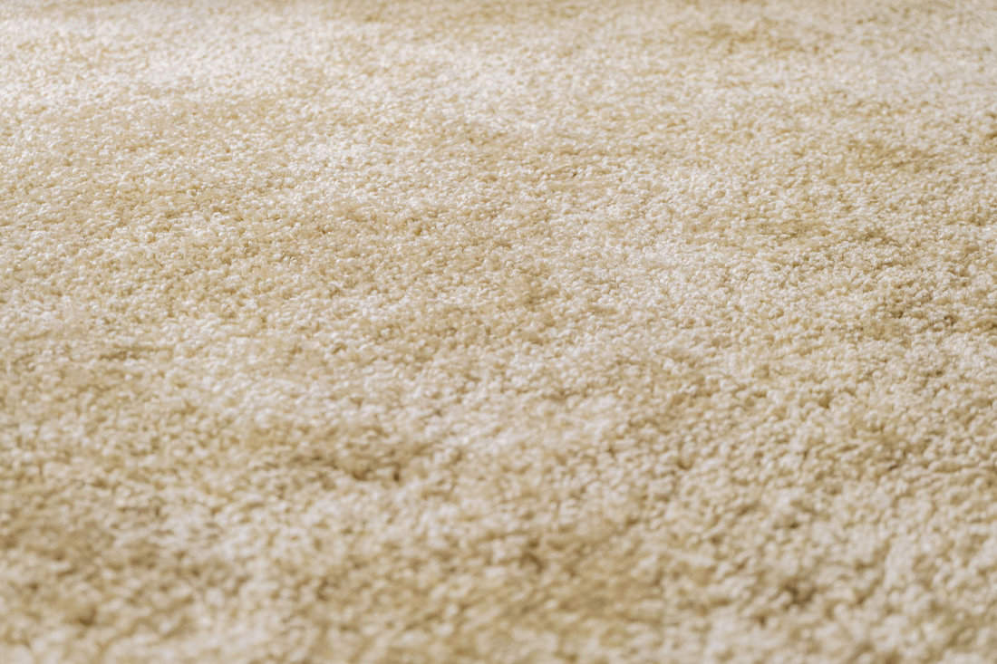 Surface of beige frieze carpet with selective focus and limited depth of field. Artificial wool material carpeting.
