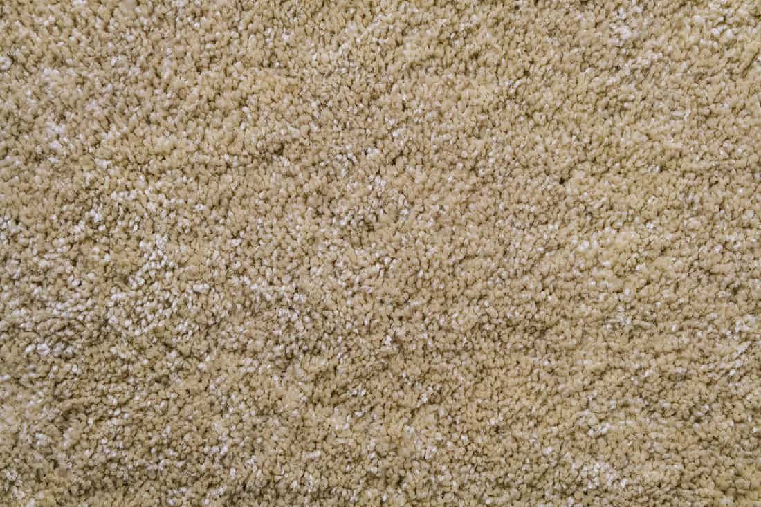 Texture of beige frieze carpet. Artificial wool material carpeting.
