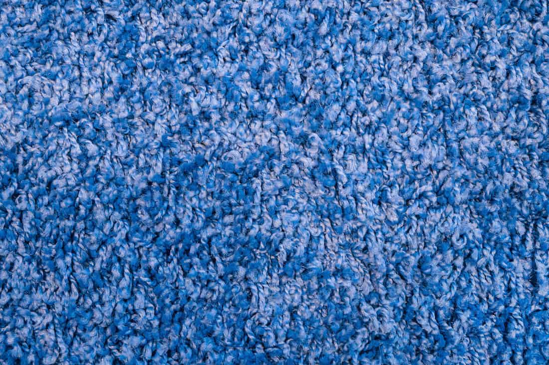 Texture of blue fabric carpet with long pile close-up. Fluffy blue frieze fur carpet texture.
