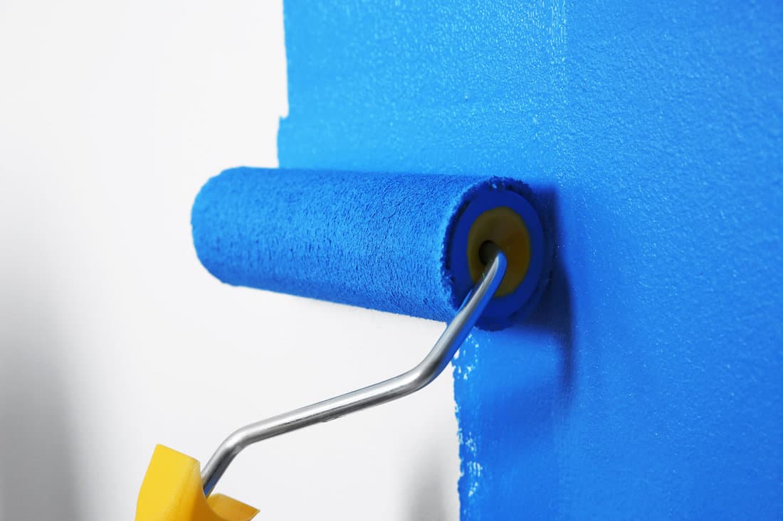 Using a roller to paint the wall with blue