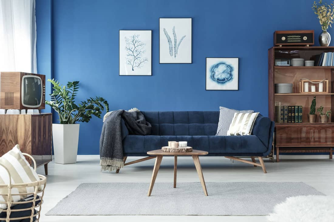 Living room painted in blue with lots of wooden furnitures