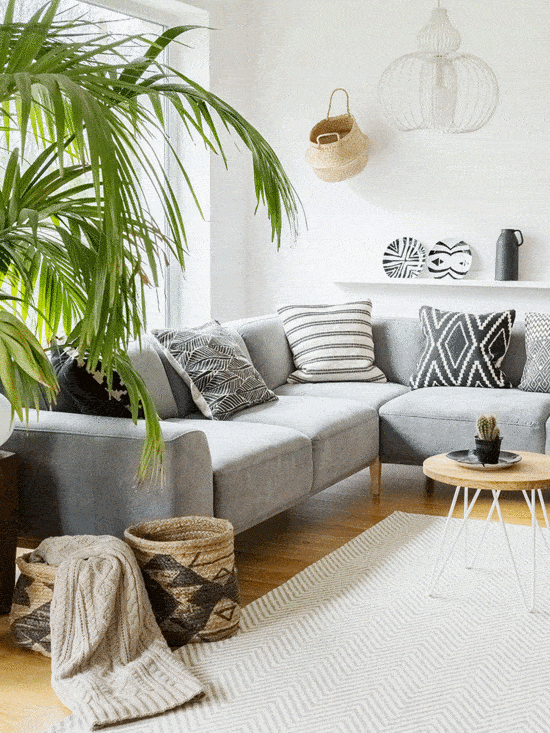 Plant next to grey corner sofa in african living room interior with poster and pouf