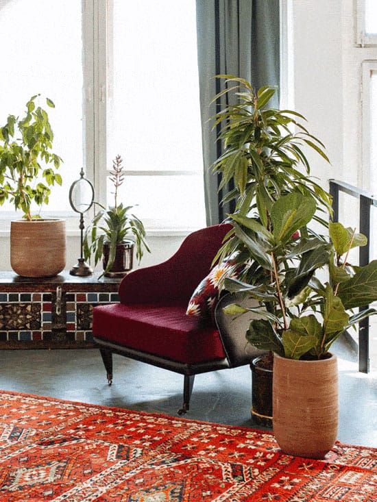 Living-room-with-orange-carpet-and-boho-interior-edited